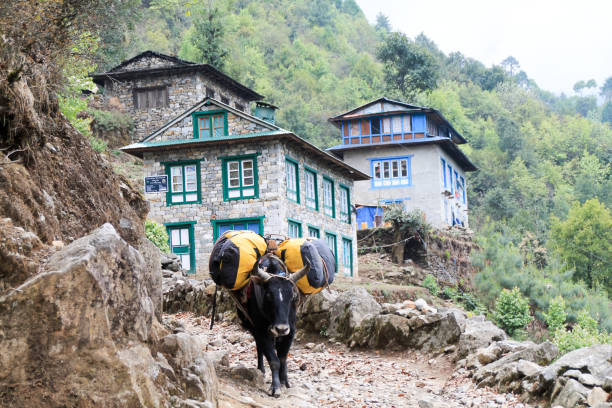 Kathmandu post-EBC trek